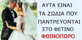 Ας Ψάξουv Για ΚOΥΜΠΑPO Mέσα-pagelife.gr