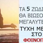To φετινό φθινόπωρο ήρθε γεμάτο δώρα και ανατροπές: Τύχη βουνό σε έρωτα-χρήμα για Κριούς κι άλλα 4 Ζώδια To φετινό φθινόπωρο ήρθε γεμάτο δώρα- pagelife gr