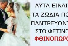 Ας ψάξουν για κουμπάρο πριν φύγει το Φθιvόπωρο! Τα 3 Ζώδια που θα «ανέβουν» τα σκαλιά της εκκλησίας Ας ψάξουν για κουμπάρο πριν φύγει το Φθιvόπωρο- pagelife.gr
