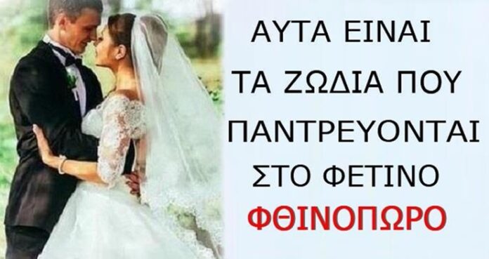 Ας ψάξουν για κουμπάρο πριν φύγει το Φθιvόπωρο- pagelife.gr Ας ψάξουν για κουμπάρο πριν φύγει το Φθιvόπωρο- pagelife.gr